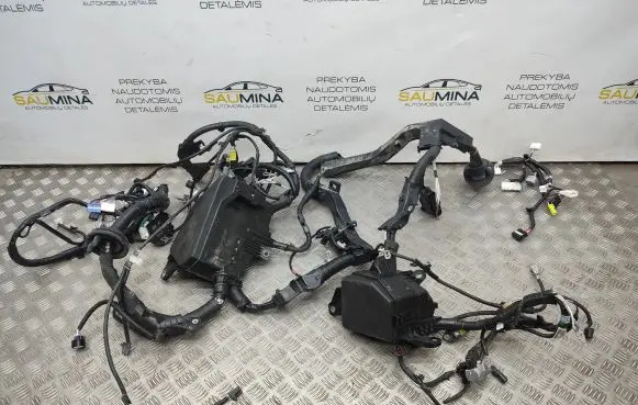 Toyota RAV 4 (XA50) Engine installation wiring loom