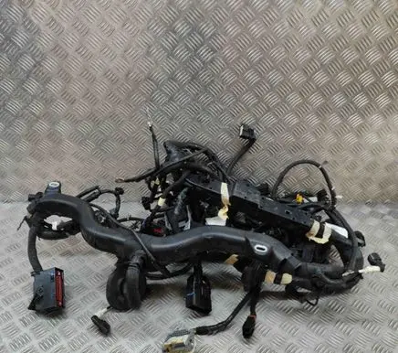 Ford Mustang Mach-E Other wiring loom VNJ8T14290RAC NJ8T14290RAC