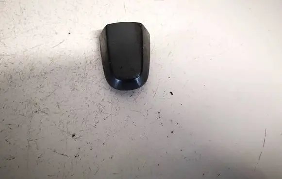 Toyota RAV 4 (XA30) Loading door cover/cap 