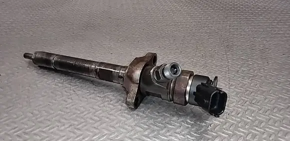 Citroen C3 Picasso Fuel injector 0445110297