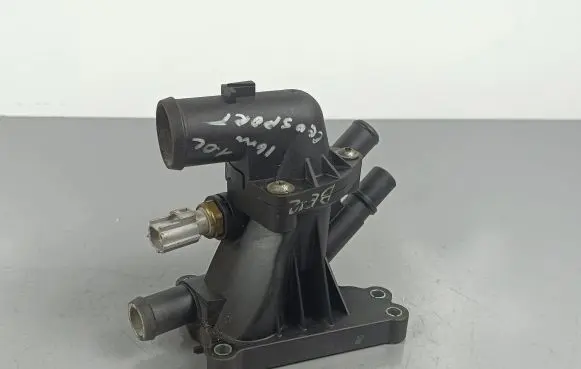 Thermostat/thermostat housing