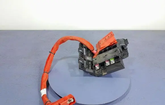 Other wiring loom