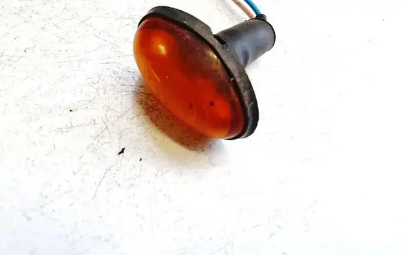 Chrysler Grand Voyager IV Front fender indicator light 6486