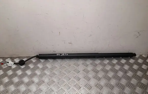 Ford Mustang Mach-E Tailgate/trunk/boot tension spring LJ8BR402A54AC