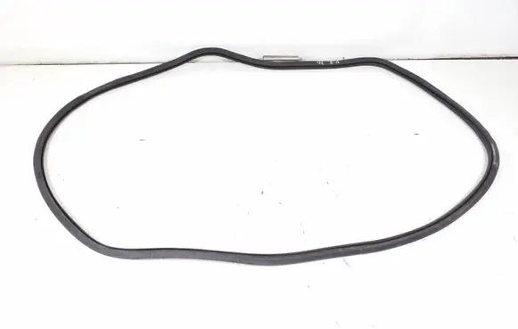 Rear door rubber seal (on body)