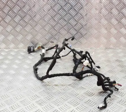BMW X5 G05 Front door wiring loom 8779718
