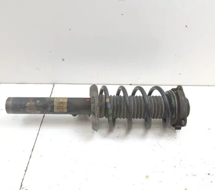 Volkswagen PASSAT B7 Front shock absorber with coil spring 3C0413031N