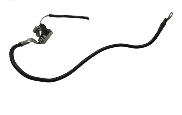 Mercedes-Benz B W246 W242 Negative earth cable (battery) A1665420018