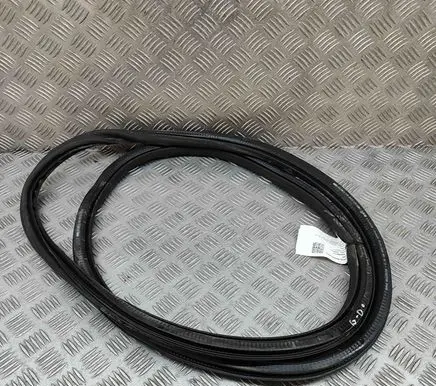 Peugeot 3008 III Rubber seal rear door 9841055180