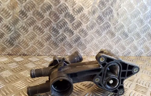 Thermostat/thermostat housing