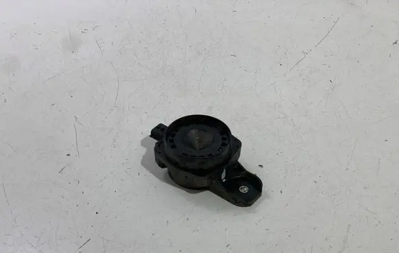 Renault Espace V (RFC) Alarm system siren 256400001R