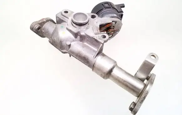 EGR valve