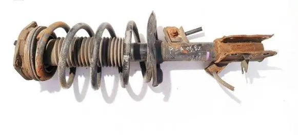 Nissan Qashqai Front shock absorber/damper 54303jd73a 824903003493