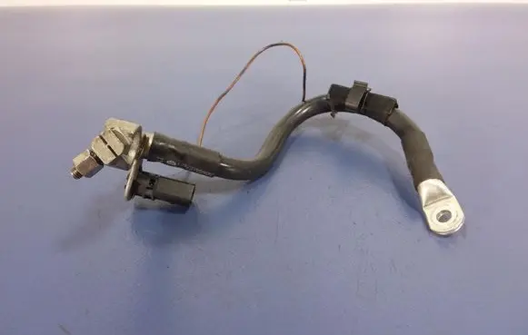 Volkswagen Phaeton Other wiring loom 3D0971235AD