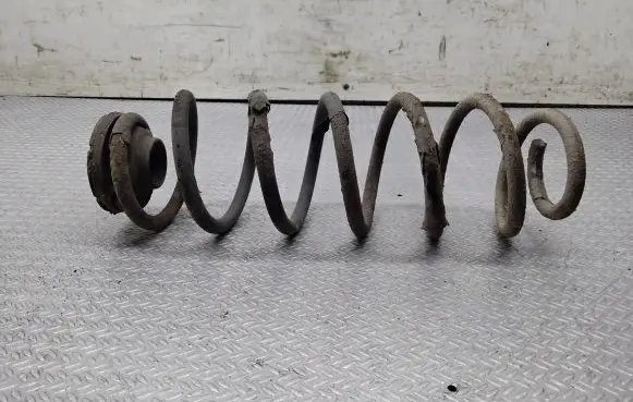 Seat Leon (1M) Rear coil spring