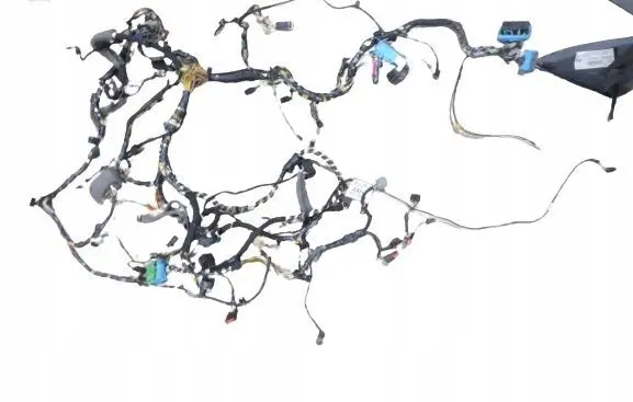 Ford C-MAX II Other wiring loom