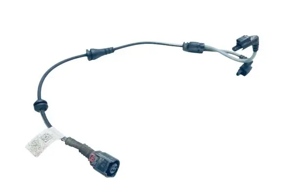 Audi E-tron GT Other wiring loom 9J1971289B