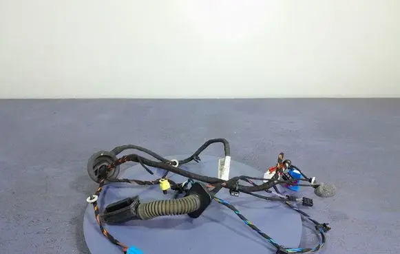 Skoda Superb B8 (3V) Other wiring loom 3V1971121BG