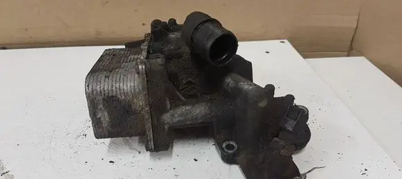 Renault Megane II Oil filter mounting bracket FL518