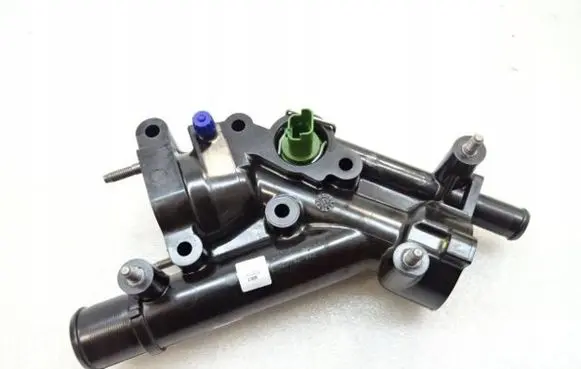 Thermostat/thermostat housing