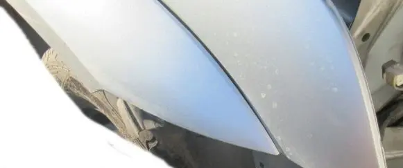 Toyota Land Cruiser (J120) Fender