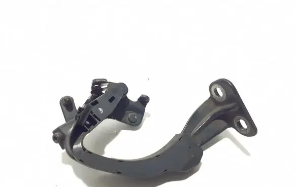 BMW 5 GT F07 Tailgate/trunk/boot hinge 7233585