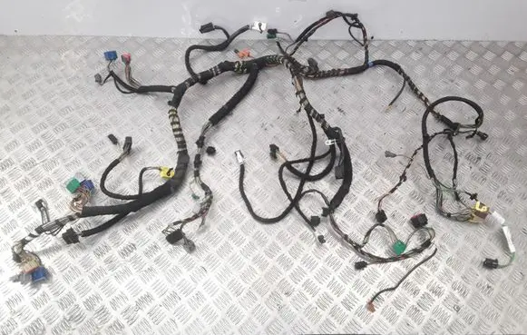 Jaguar X-Type Panel wiring 4X4314K024RF 4X4314K024