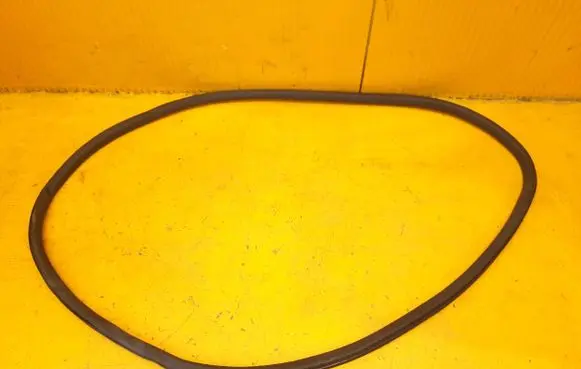 Opel Astra L Front door rubber seal 9847142380