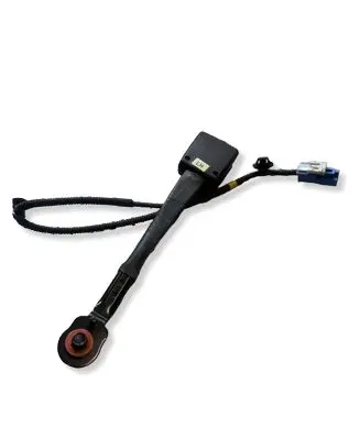 KIA EV6 Front seatbelt buckle 
