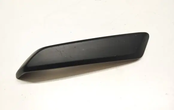 Other front door trim element