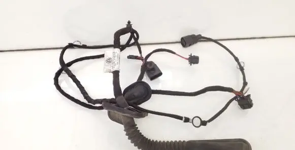 Front door wiring loom