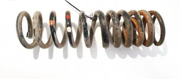 Ford Focus Rear coil spring