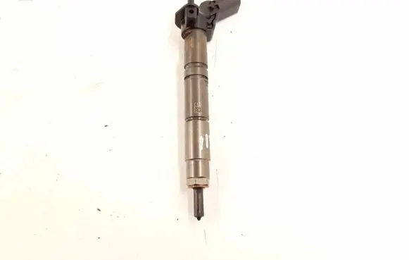 Mercedes-Benz GLK (X204) Fuel injector 6420701387 6420701987