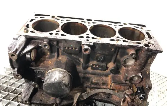 Dacia Dokker Engine block 