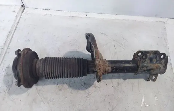 Chevrolet Epica Front shock absorber/damper