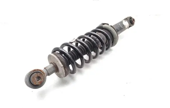 DS Automobiles 9 Rear shock absorber with coil spring 9836437080
