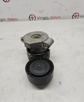 Peugeot Boxer Generator/alternator belt tensioner