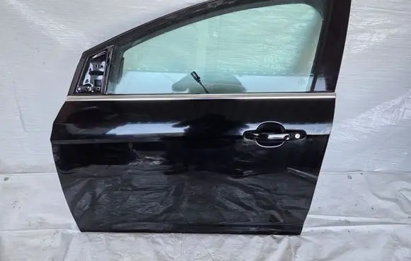 Ford Focus Front door 