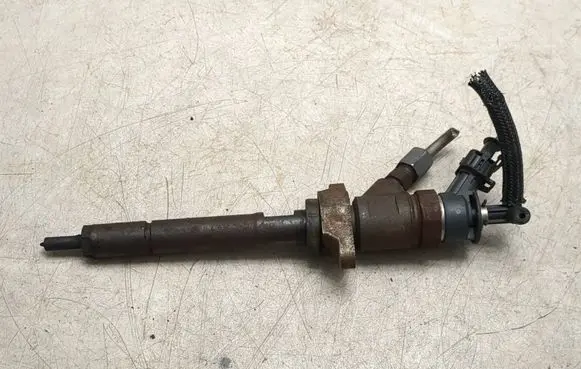 Citroen C3 Fuel injector 0445110311