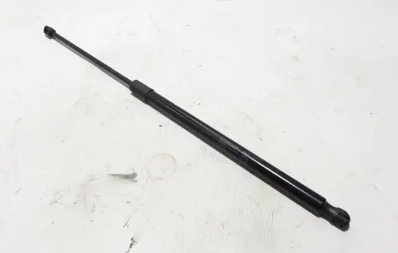Tailgate strut
