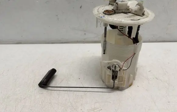Renault Kangoo II In-tank fuel pump 8200889199