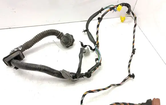 Front door wiring loom