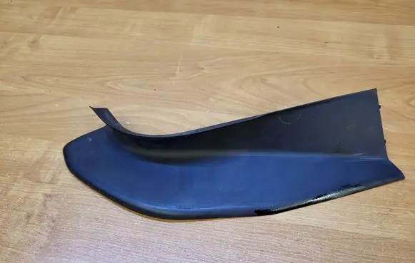 Rear/tail light trim molding