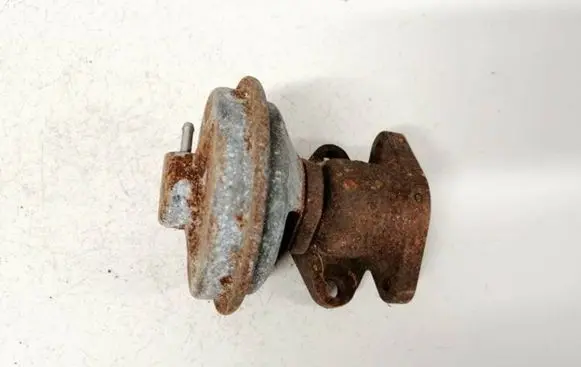 Chevrolet Captiva EGR valve