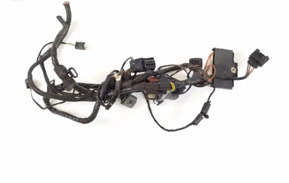 BMW Z4 E89 Other wiring loom 6941424