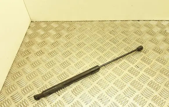 Dacia Sandero Tailgate/trunk strut/damper 904529943R