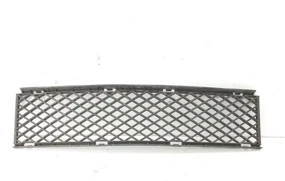 Front bumper lower grill