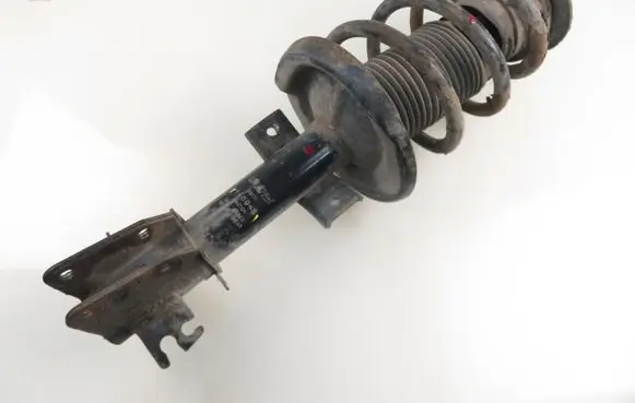 Renault Master III Front shock absorber with coil spring 446946