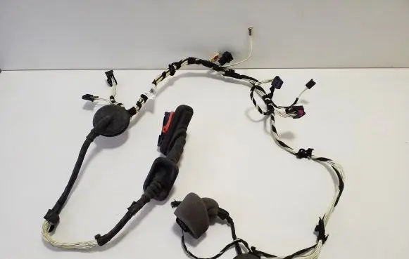 Front door wiring loom