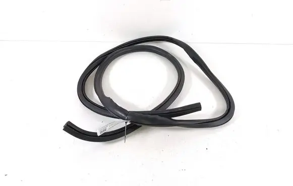Ford Mach-E I Front door rubber seal LJ8BR20708AD